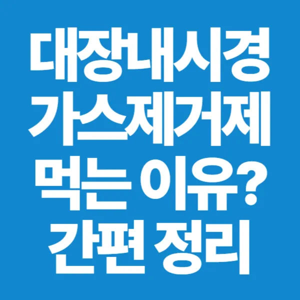 대장내시경 가스제거제