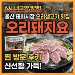 6시 내고향 울산 중구 오리생고기 맛집 오리돼지요 태화종합시장 방문 후기