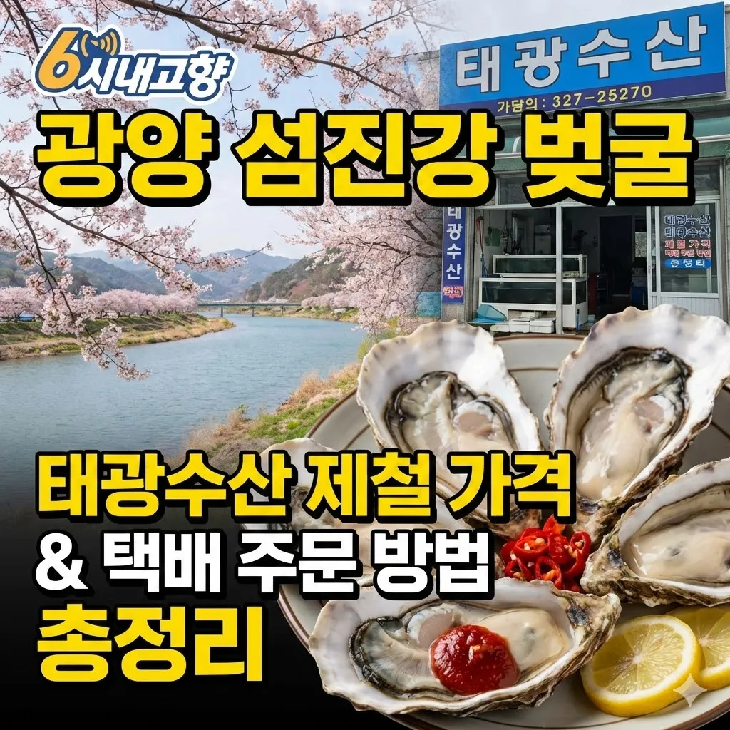 6시내고향 광양 섬진강 벚굴 태광수산 제철 가격 및 택배 주문 방법 총정리