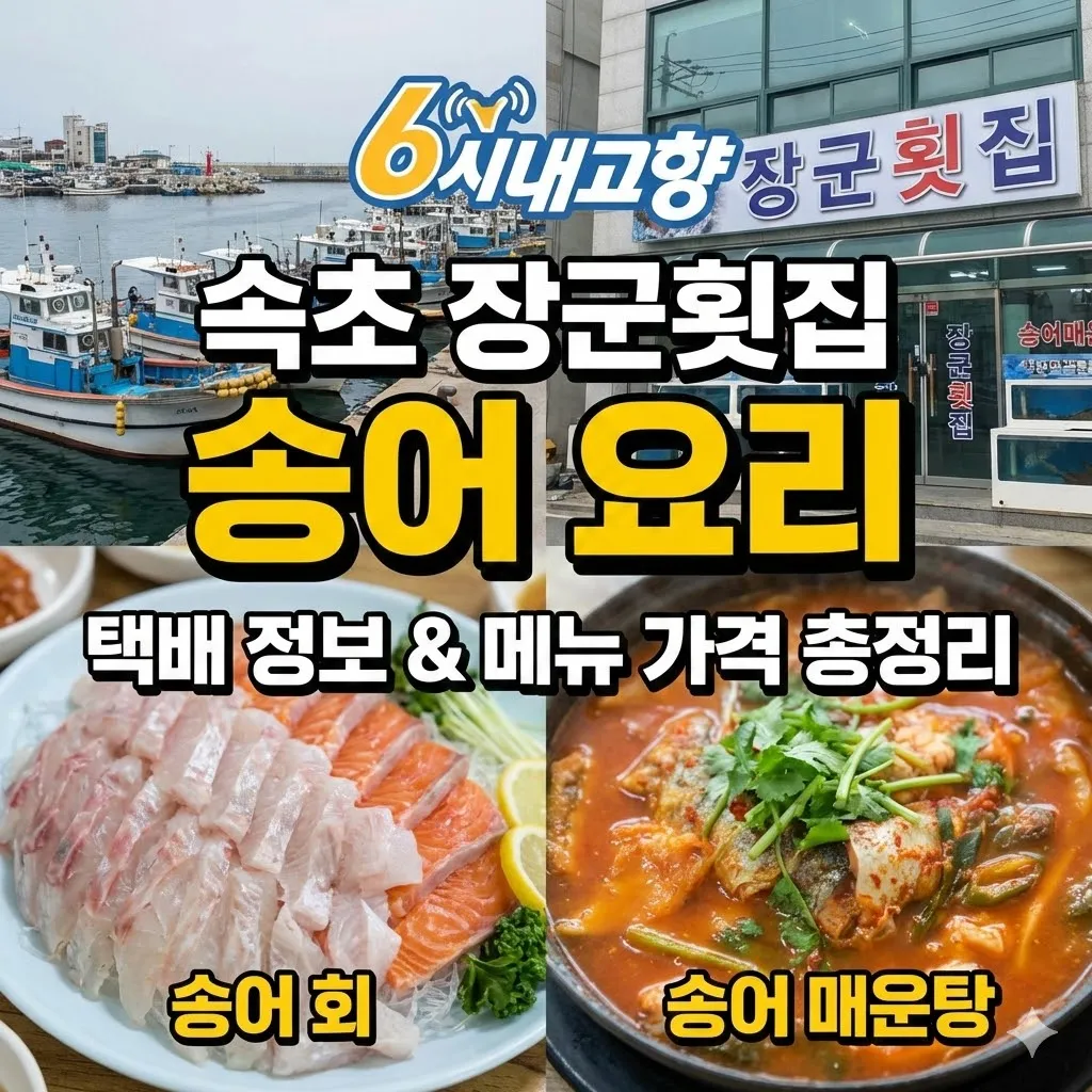 6시내고향 속초 송어 요리 장군횟집 택배 정보부터 메뉴 가격까지 총정리