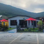 6시내고향 여수 방풍 막걸리 바다의 약초로 빚은 방풍도가&푸드 미식 탐방