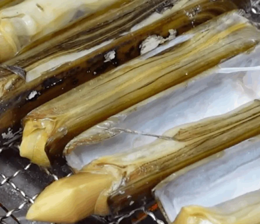 6시내고향 태안 대맛조개 산지직송 하늘색청년 택배 주문 및 가격 정보 총정리