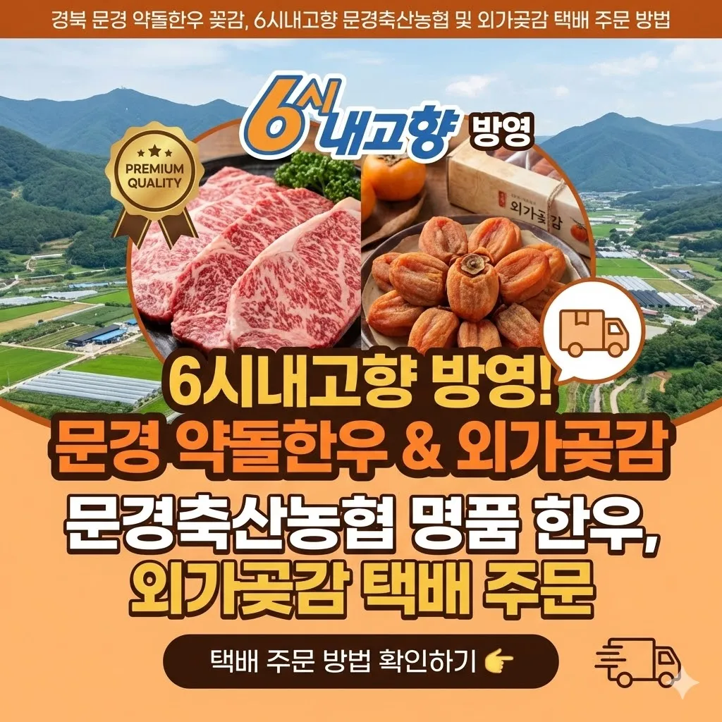 경북 문경 약돌한우 꽂감, 6시내고향 문경축산농협 및 외가곶감 택배 주문 방법