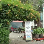 전현무계획3 팥칼국수 팥 옹심이 의왕 식당, 진하고 고소한 전라도식 인생 맛집 발견