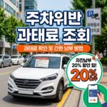주차위반 과태료 조회와 자진납부 20% 할인 팁
