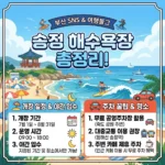 송정 해수욕장 개장 일정 및 야간 입수, 송정 해수욕장 주차 꿀팁 총정리