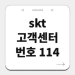 skt 고객센터 번호 114